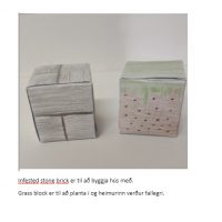 Minecraft4